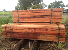 timber-pile