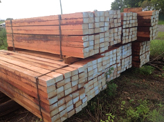 timber-pile2