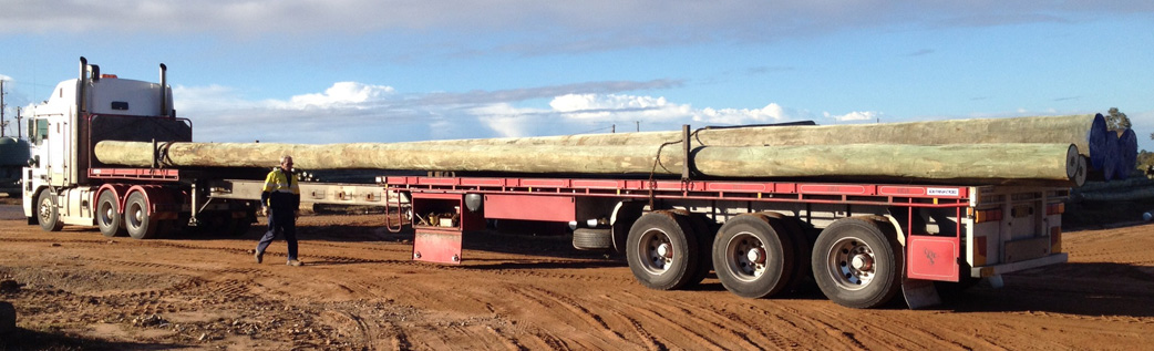 timber-pilings-header