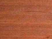 turpentine timber